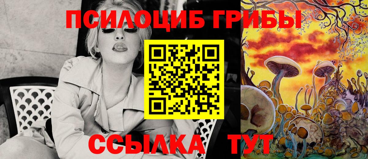 Жуковский  Галлюциногенные грибы прущие грибы  Вход с VPN 