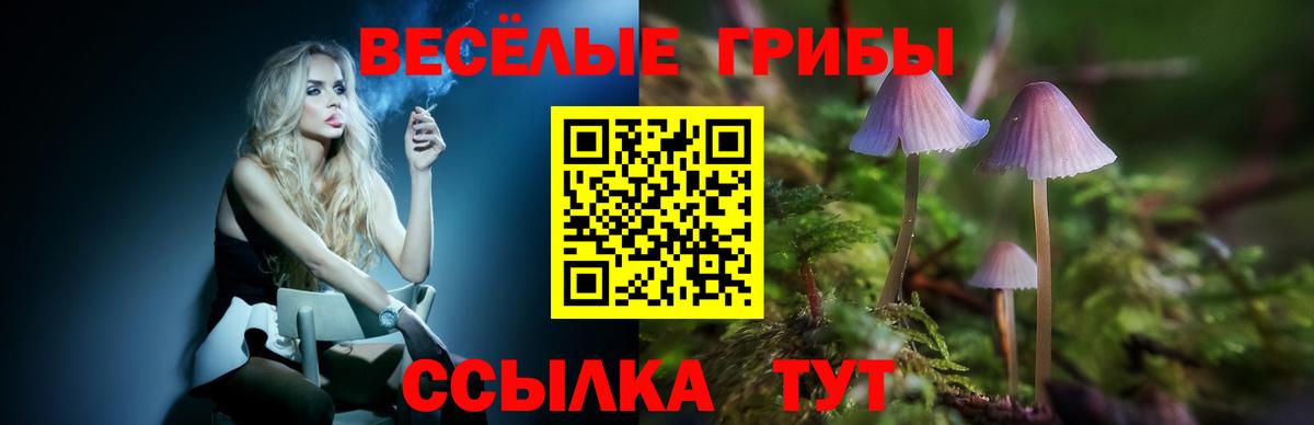 Галлюциногенные грибы GOLDEN TEACHER Жуковский